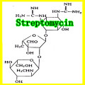 Streptomycin 85% Tc